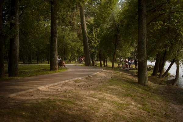 Découvrez Comment les Légumes-Feuilles Enrichissent la Santé de Vos Yeux: Secrets Bien Gardés révélés