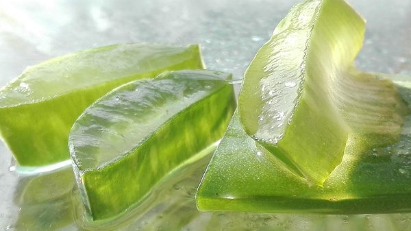 Forever aloe vera gel : bienfaits, composition et conseils d'utilisation
